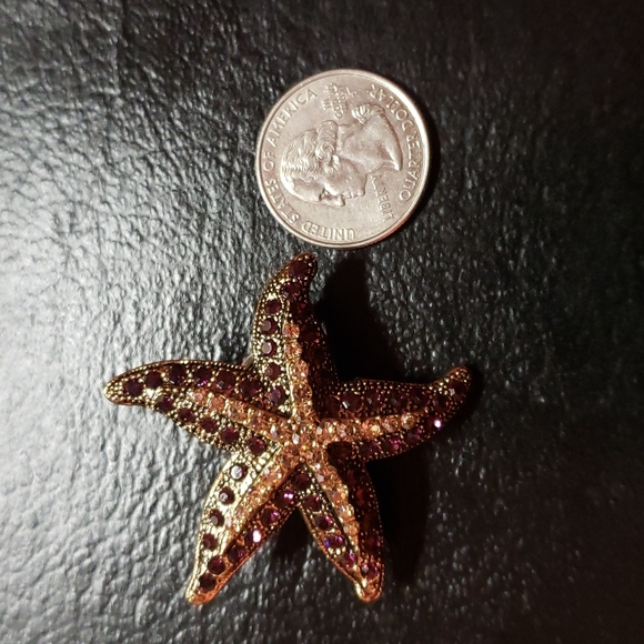 Starfish Brooch - Picture 4 of 5